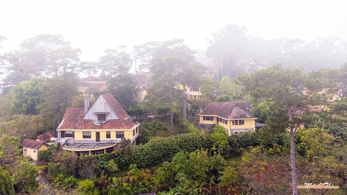 ĐẤT NÔNG NGHIỆP, DIỆN TÍCH 510m2, thuộc hẻm đường Mimoza, gần Thác Prenn,  ô tô tận đất, view rừng thông cực đẹp, giá đầu tư chỉ 3 tỷ 150.