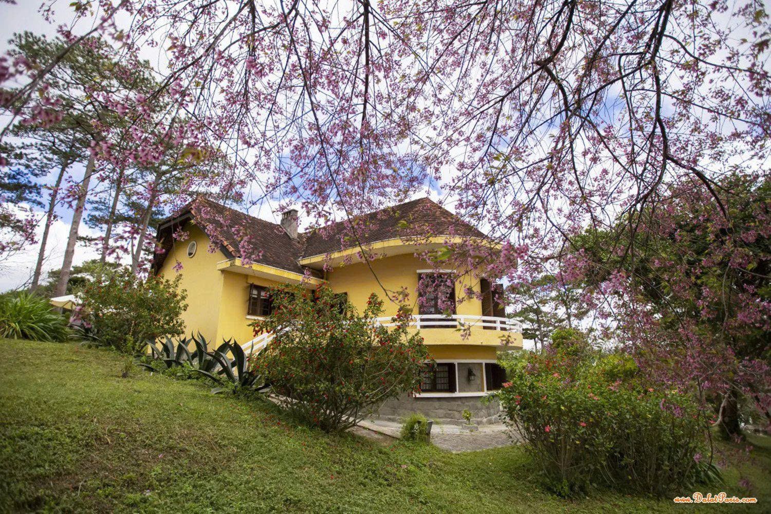 Biệt thự đường Yết Kiêu, P6, Đà Lạt. DT 806.4m2, cách Hồ Xuân Hương khoản 3km, khu dân cư yên tĩnh, sang trọng, view đẹp, đường ô tô. Giá 37.8 tỷ