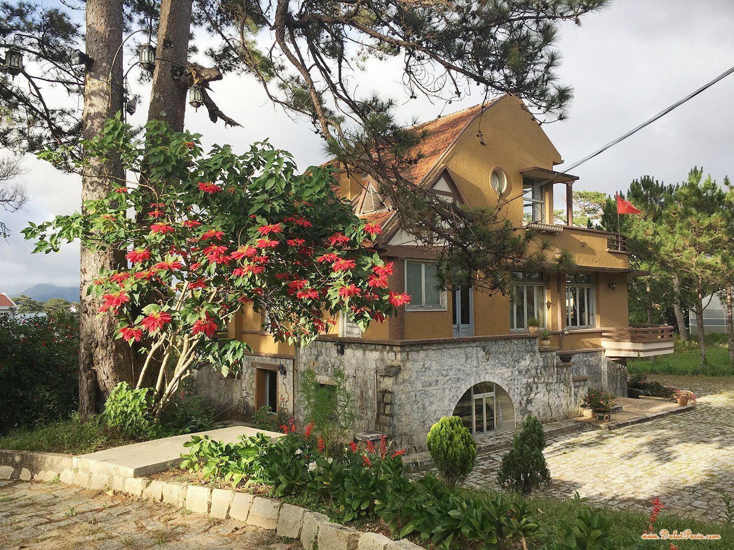 Đất biệt thự tặng nhà đường Cô Giang, P9, Đà Lạt. Diện tích: 264.40m2 full thổ cư. Cách Hồ Xuân Hương khoản 1km. Dân cư an ninh, sang trọng. Giá 15 tỷ