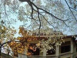 Đất biệt thự tặng nhà & dãy trọ trên đất đường Phù Đổng Thiên Vương, P8, Đà Lạt. Diện tích: 857.6m2. Gần trường ĐH Đà Lạt, cách HXH khoản 2.5km. Giá 33 tỷ