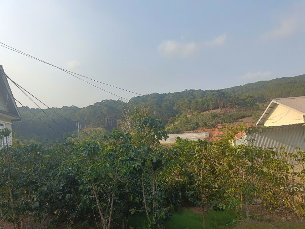 Đất biệt thự Đường Xuân sơn, ngoại ô tp Đà Lạt, cách trường học Xuân sơn 1km, thích hợp an cư nghỉ dưỡng, View rừng thông, Đường nhựa ô tô 7tỷ